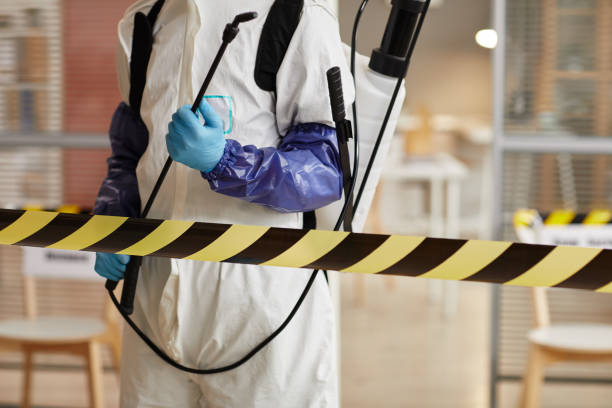 Professional Sewage Cleanup technician working in Bow, WA